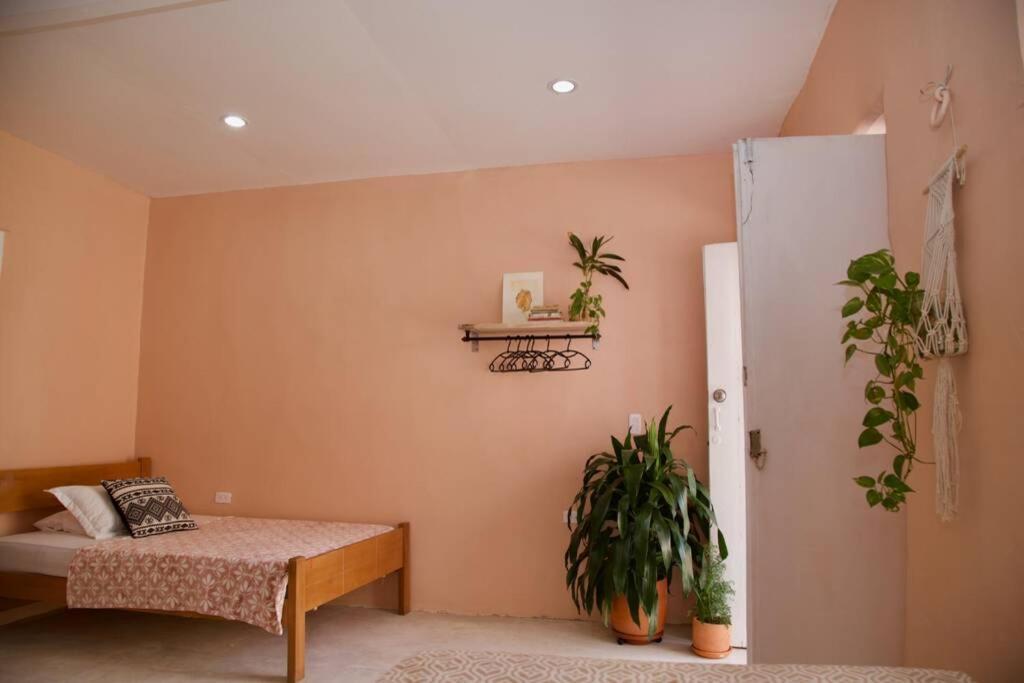 Great Location ! 4 Bedroom Home In The Heart Of Cartagena 外观 照片