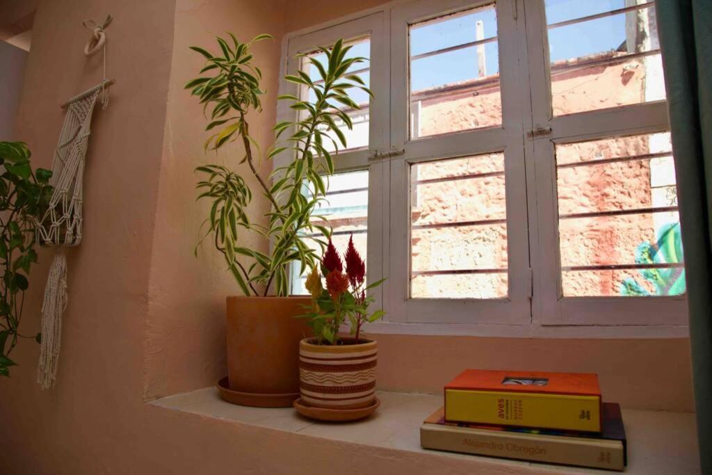 Great Location ! 4 Bedroom Home In The Heart Of Cartagena 外观 照片